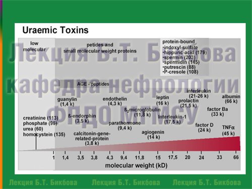 Молекулярный вес отдельных уремических токсинов